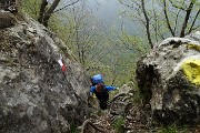 Monte Zucco (Direttissima / Sentiero Panoramico) da San Pellegrino Terme il 22 aprile 2016  - FOTOGALLERY